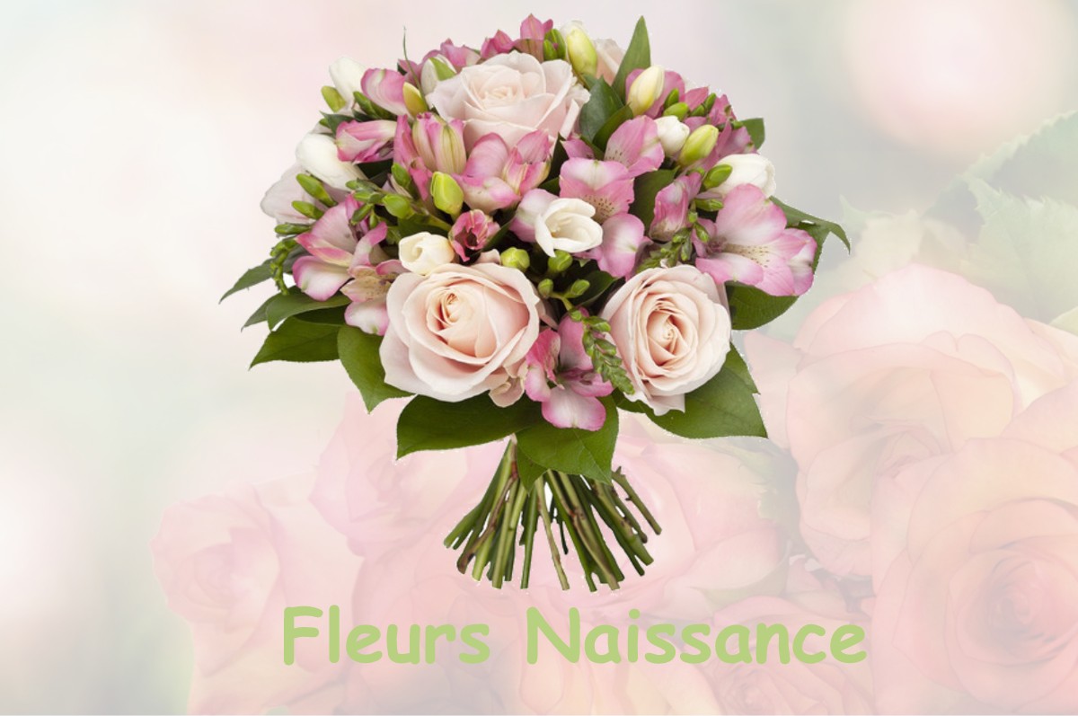 fleurs naissance CUY-SAINT-FIACRE